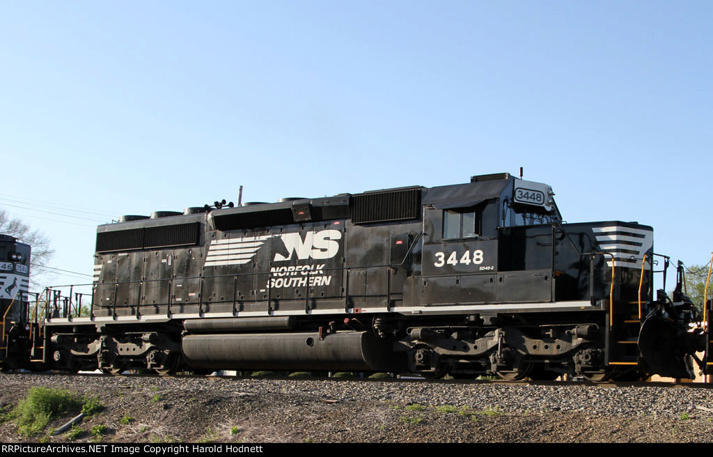 NS 3448 exhibits its "snoot" nose